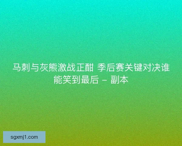 马刺与灰熊激战正酣 季后赛关键对决谁能笑到最后 - 副本
