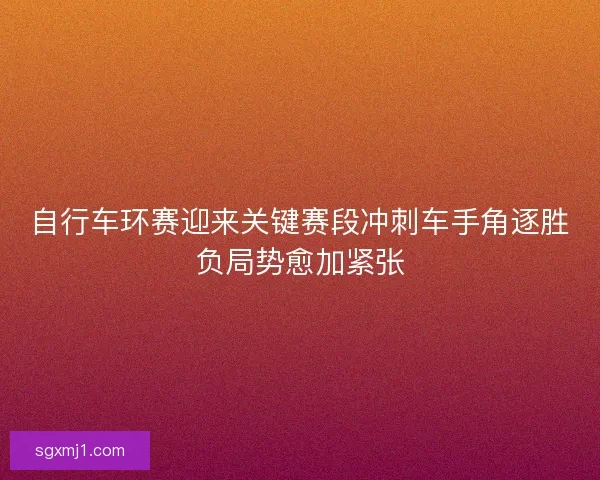 自行车环赛迎来关键赛段冲刺车手角逐胜负局势愈加紧张