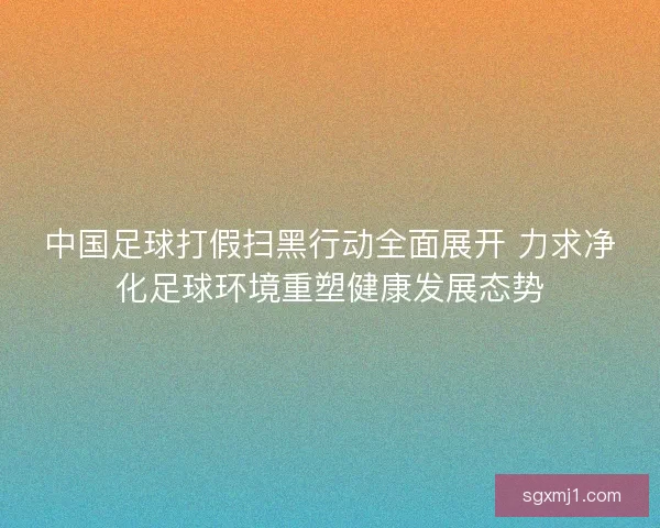 中国足球打假扫黑行动全面展开 力求净化足球环境重塑健康发展态势