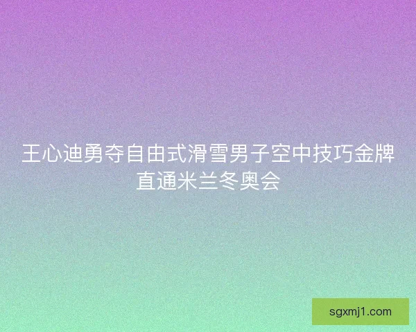 王心迪勇夺自由式滑雪男子空中技巧金牌直通米兰冬奥会