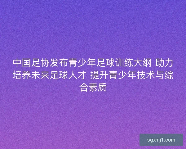 中国足协发布青少年足球训练大纲 助力培养未来足球人才 提升青少年技术与综合素质